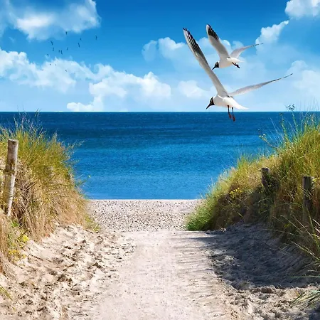Grobenbrode Strandvilla Mit Einzelfluegel
